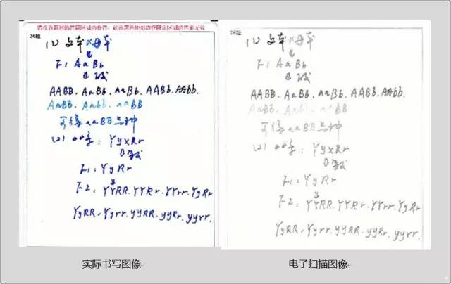 中高考電腦閱卷流程這樣的!讀完可多拿20分(轉(zhuǎn)給考生,這對(duì)他們有用)
