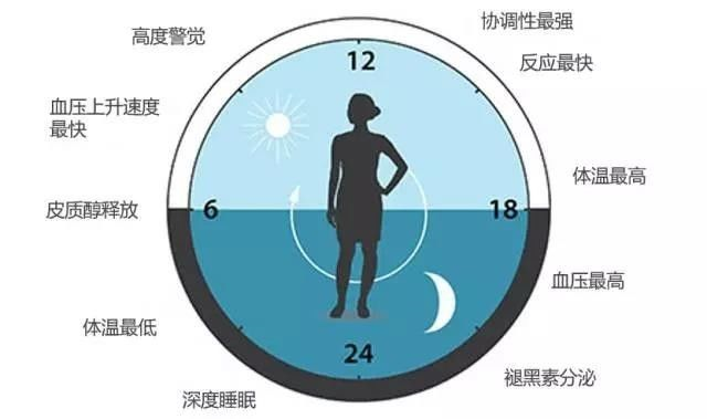 請轉給晚睡的學生:熬夜學習精神可嘉,但方法不可??!