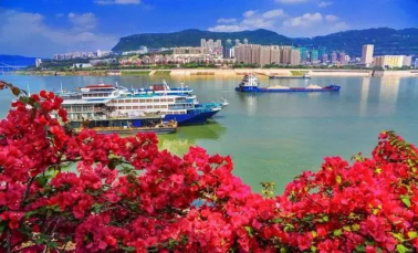熱烈祝賀：百年教育美術老師許世培創(chuàng)作的油畫